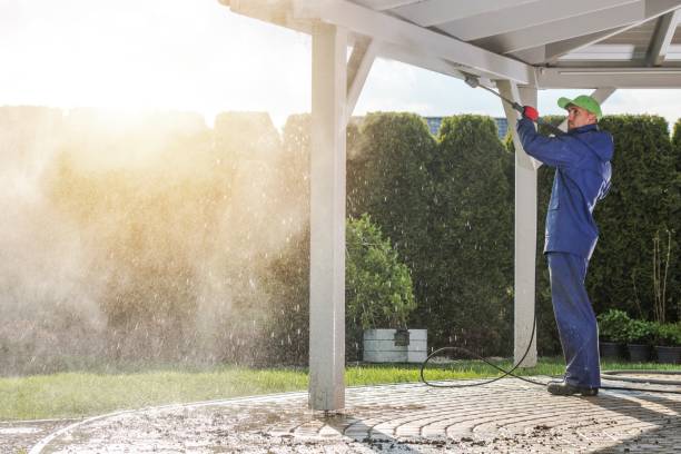 Best Driveway Cleaning and Restoration in Whittier, CA
